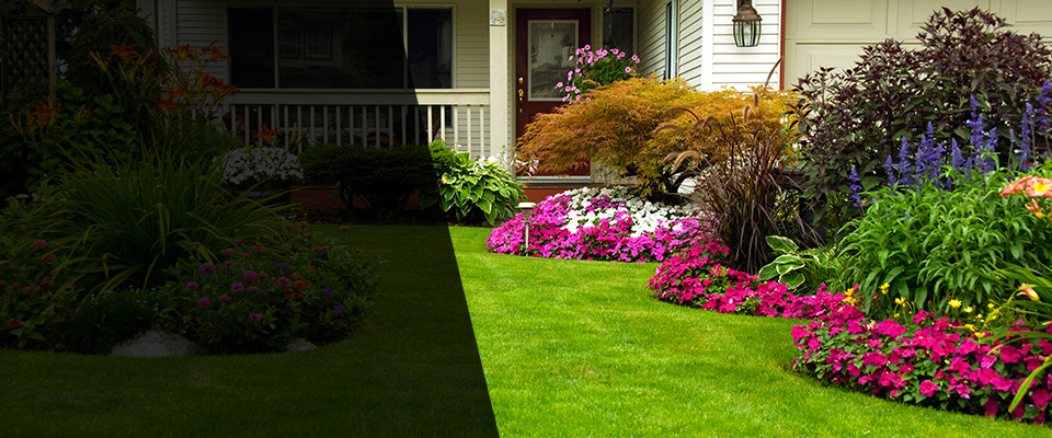 Pine Mountain Landscapers