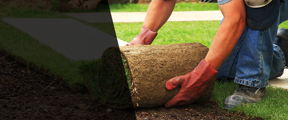 Pine Mountain Landscapers